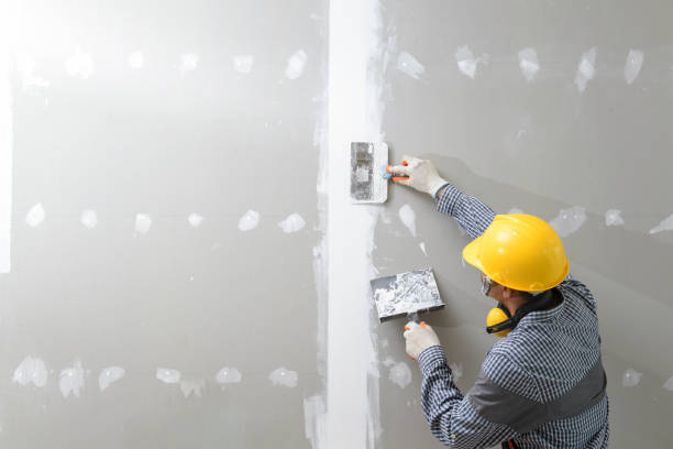 Best Commercial Mold Inspection  in Merrionette Park, IL