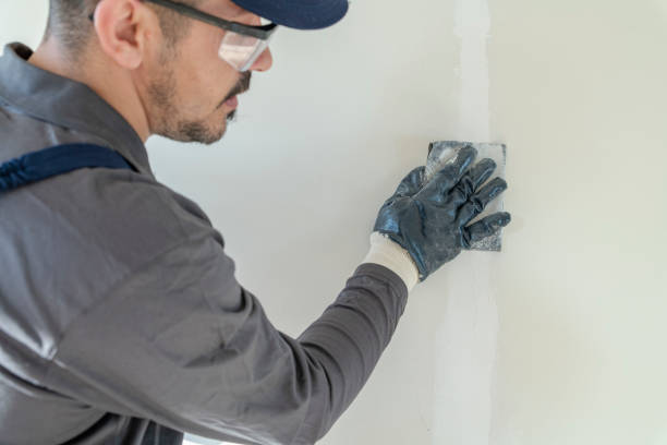 Best Water Damage & Mold Remediation  in Merrionette Park, IL