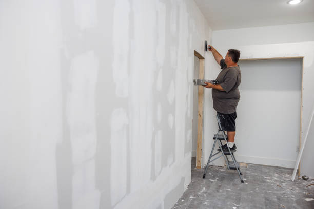 Best Post-Remediation Verification Testing  in Merrionette Park, IL