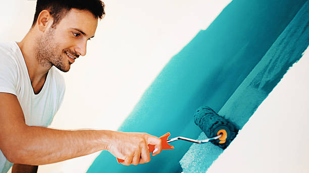 Best Black Mold Removal  in Merrionette Park, IL