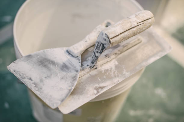Best Mold-Related Health Consultation  in Merrionette Park, IL